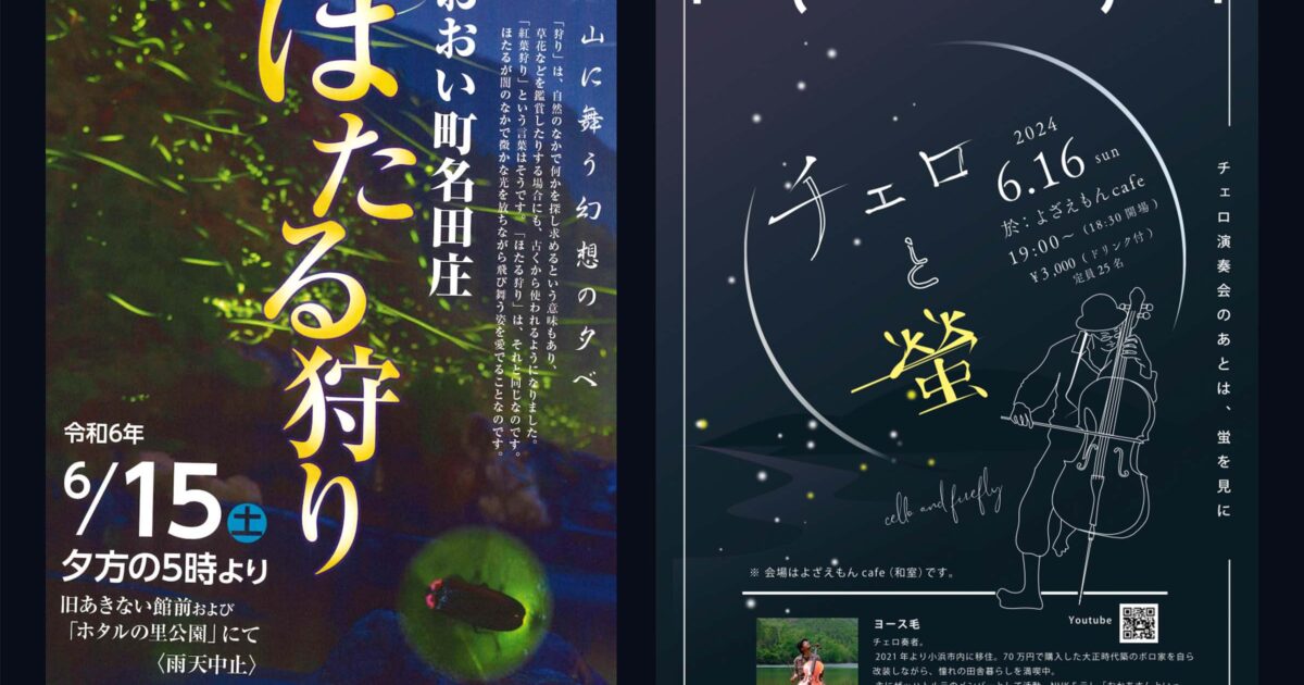 bg-posts-2024-hotaru-4-